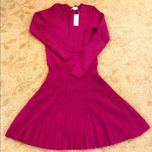 Ann Taylor Loft sweater dress